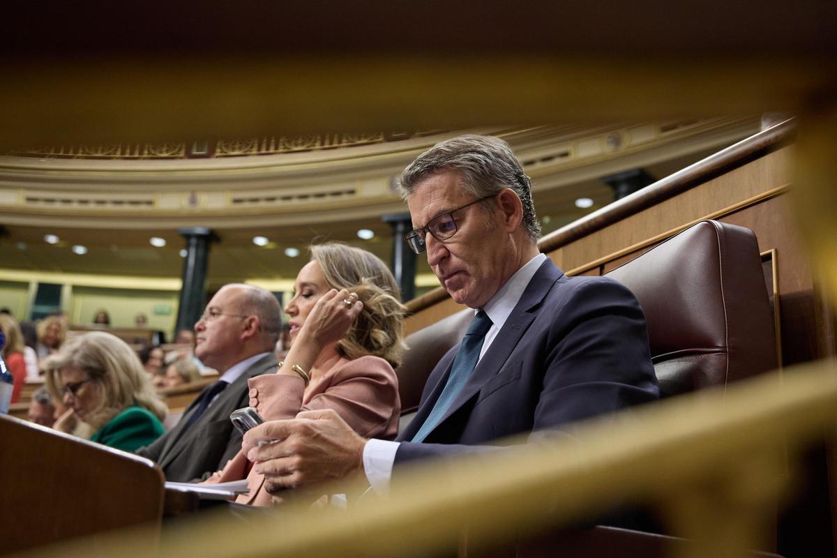 El presidente del PP, Alberto Núñez Feijóo, durante una sesión de control al Gobierno.
