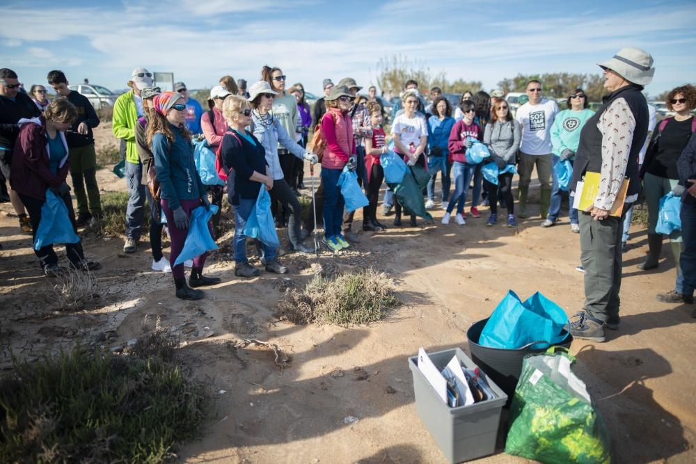 Recogida de plásticos en el Mar Menor