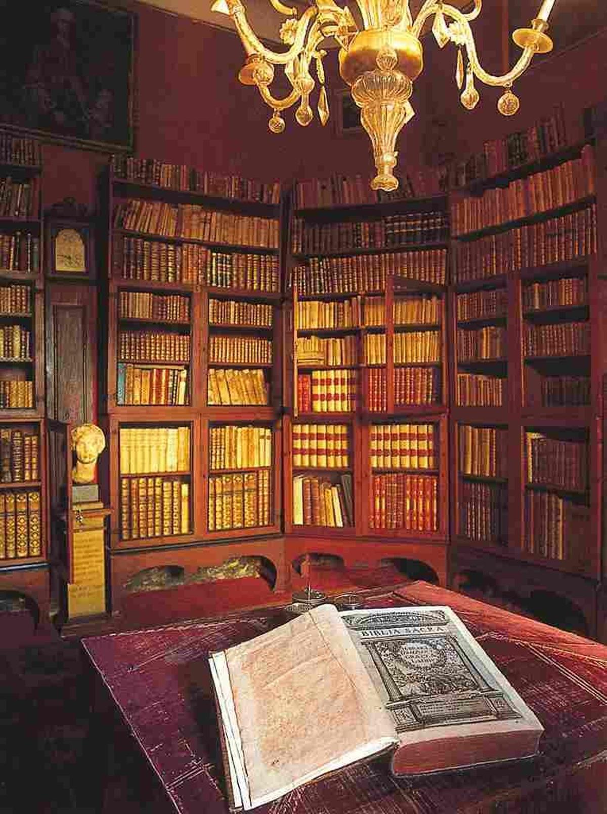 Die Bibliothek des Stadtpalastes Can Pueyo.