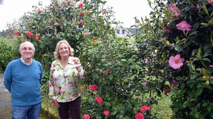Valga abre al público un jardín con 450 especies de camelias