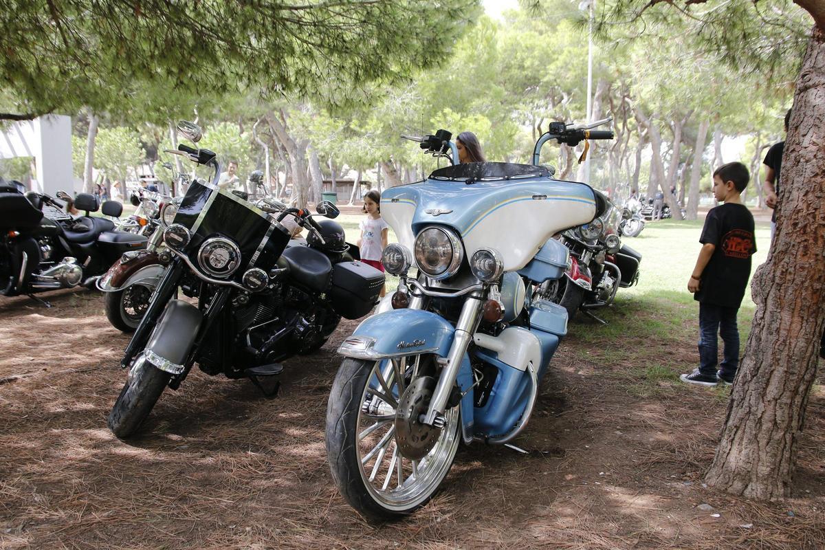 Imagen de una concentración de harleys en el Pinar del Grau.