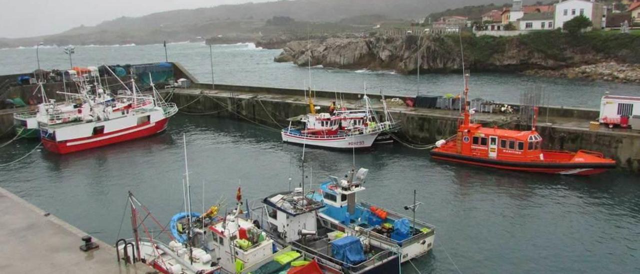 La flota de Llanes, ayer, amarrada en la dársena pesquera.