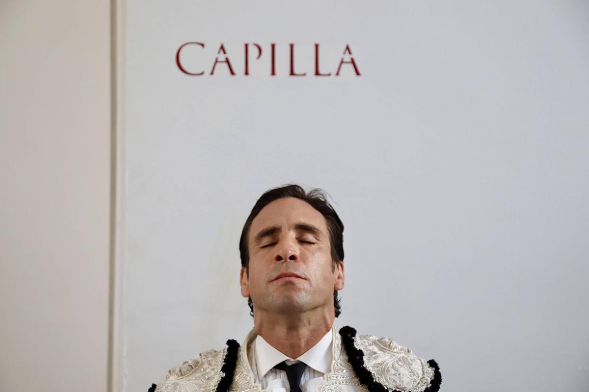 La Feria Taurina de Málaga 2026 celebra la corrida Sabor a Málaga, con un cartel formado por los toreros Mari Paz Vega, David Galán y José Antonio Lavado. La Feria Taurina de Málaga 2026 celebra la corrida Sabor a Málaga, con un cartel formado por los toreros Mari Paz Vega, David Galán y José Antonio Lavado.