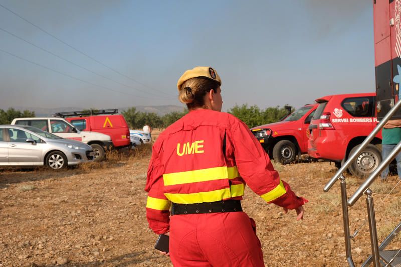 Declarado un incendio en una zona de barranco de Beneixama
