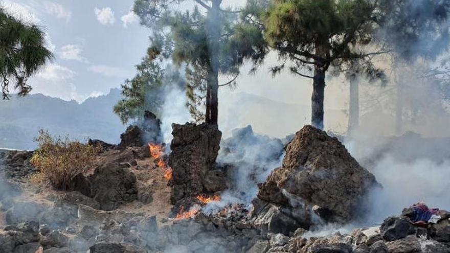 Sofocado un conato de incendio en Arafo