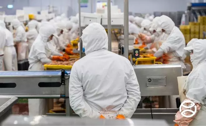 La industria pesquera gallega alcanza su mayor huella global con producción en 30 países