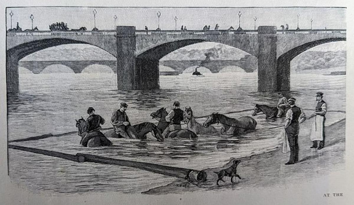 El río Sena, utilizado para lavar perros y caballos a principios del siglo XX.