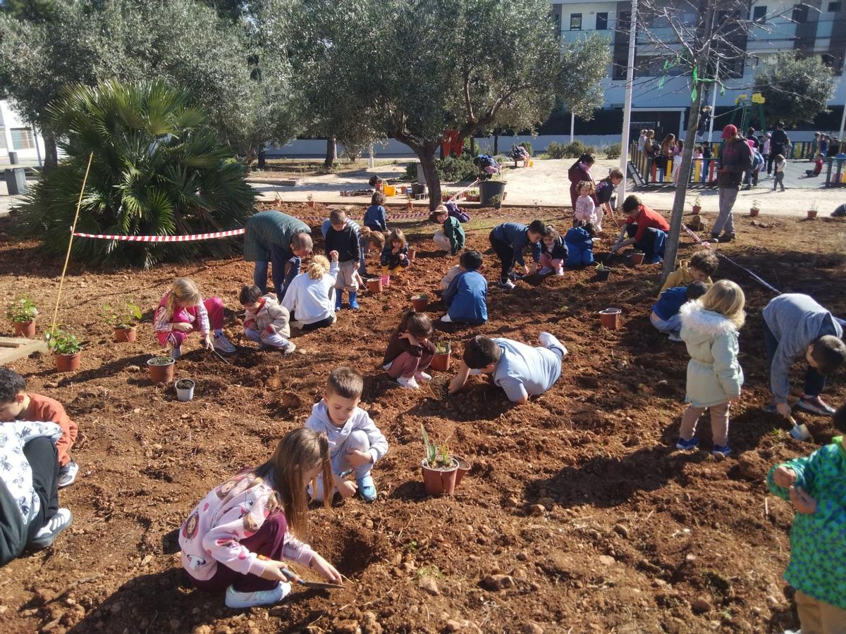 462 xiquets i xiquetes han participat, a través dels centres educatius, en el Dia de l'Arbre.
