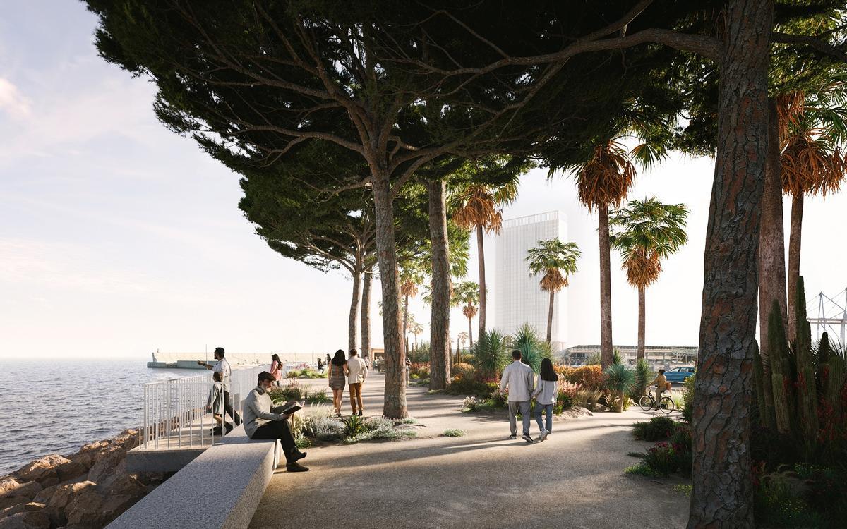Los promotores de la Torre del Puerto siguen abogando por pinos de gran porte en el Muelle de Levante.