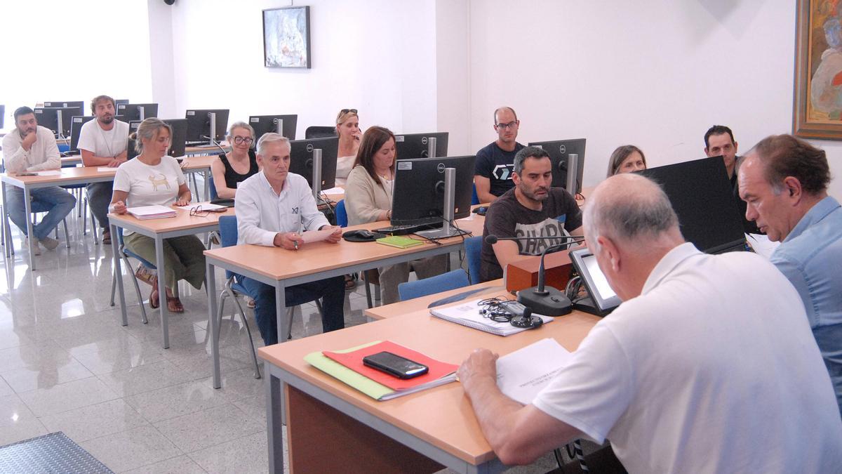 Asistentes al pleno de la mancomunidad este jueves, en Lalín