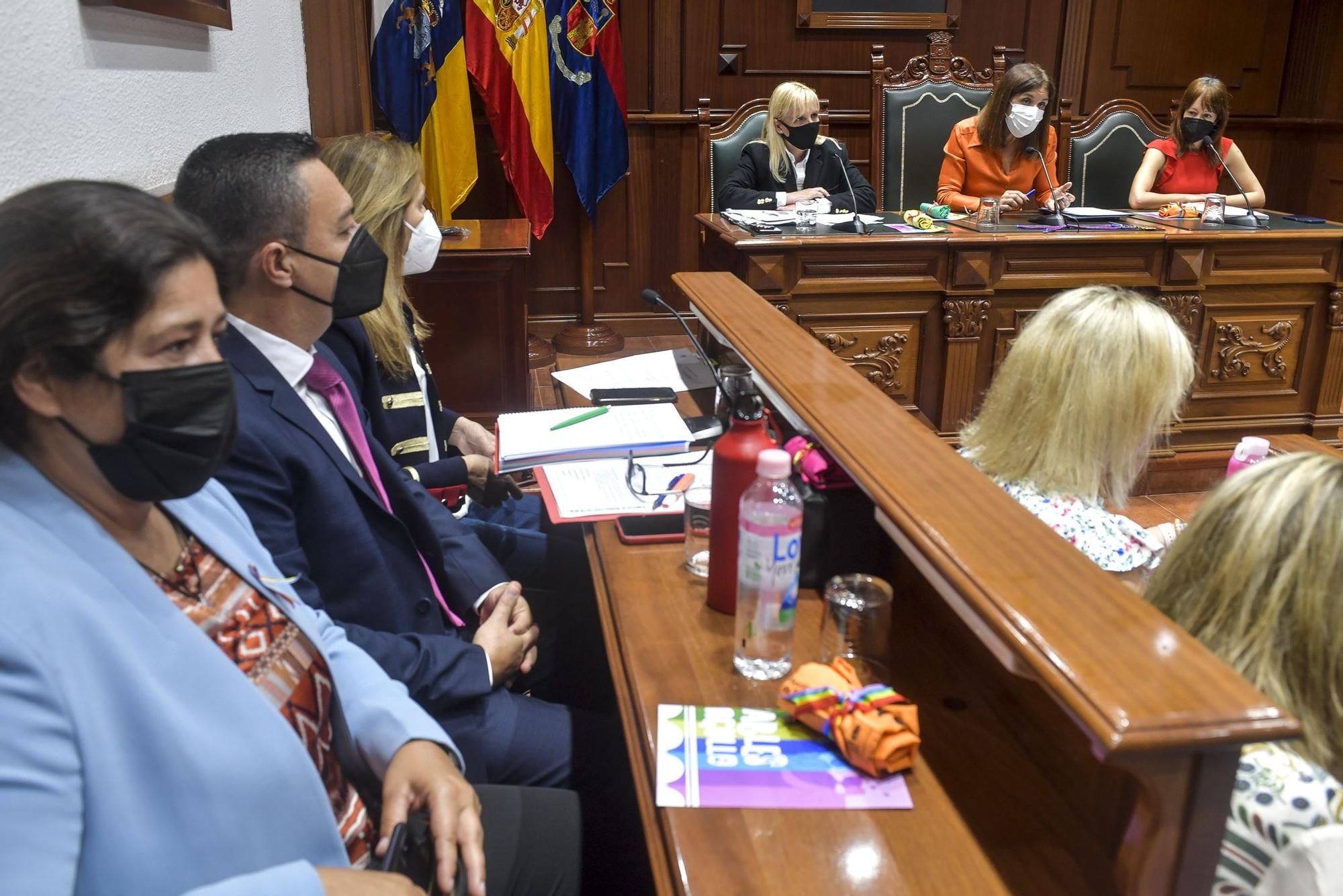 Pleno del Ayuntamiento de Telde (30/06/22)