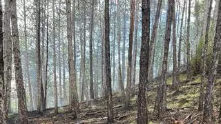 Un incendi crema 500 m2 de vegetació a Navès