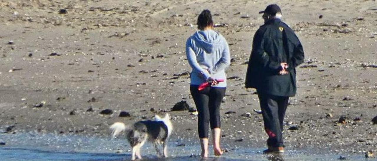 Personas paseando a un perro sin correa por el Monumento. 