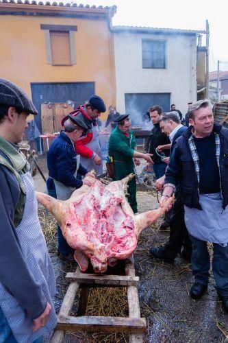 Matanza del cerdo en Tábara