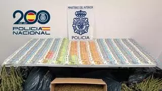Desmantelada una plantación indoor de marihuana con 200 plantas en una vivienda de Elda