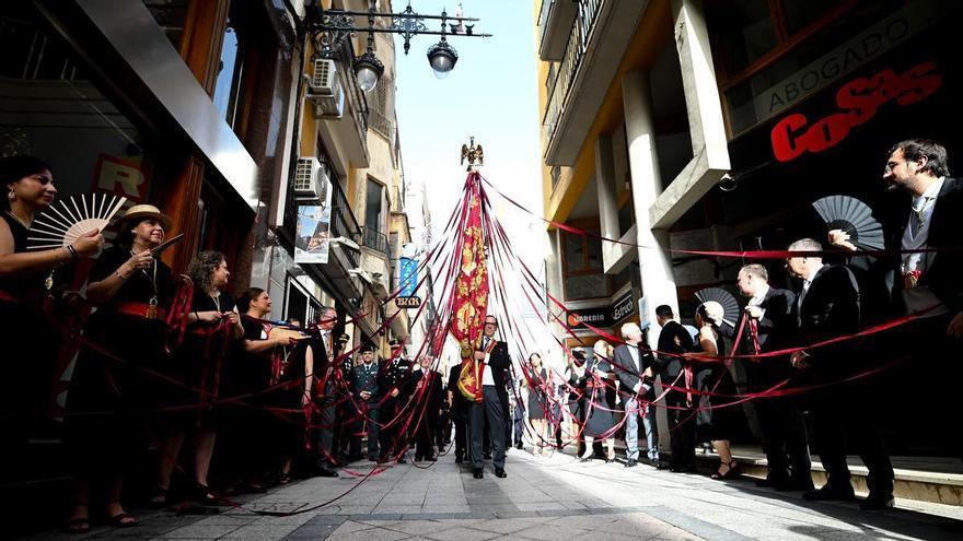 Las mejores imágenes del Día del Pájaro de Orihuela