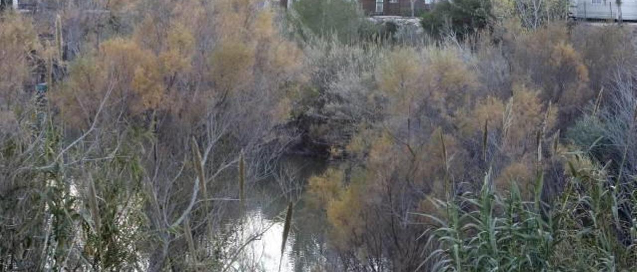 El camping, con los bungalows al fondo, se encuentra rodeado de barrancos y junto a un lago.