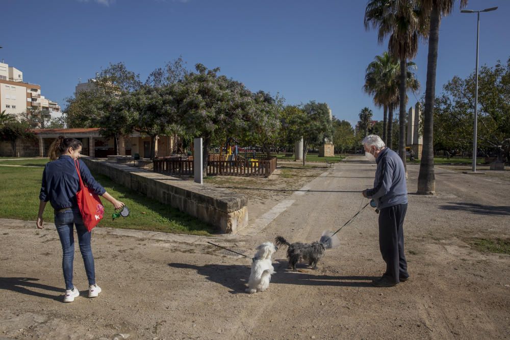 Los parques y las zonas verdes de Palma reabren con “normalidad”