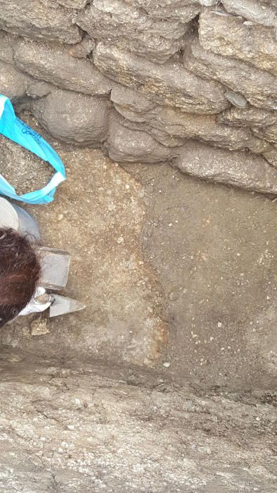 Investigadores de Vigo y Santiago hallan una muestra de peces de hace 1.700 años en el yacimiento romano de Adro Vello, en O Grove
