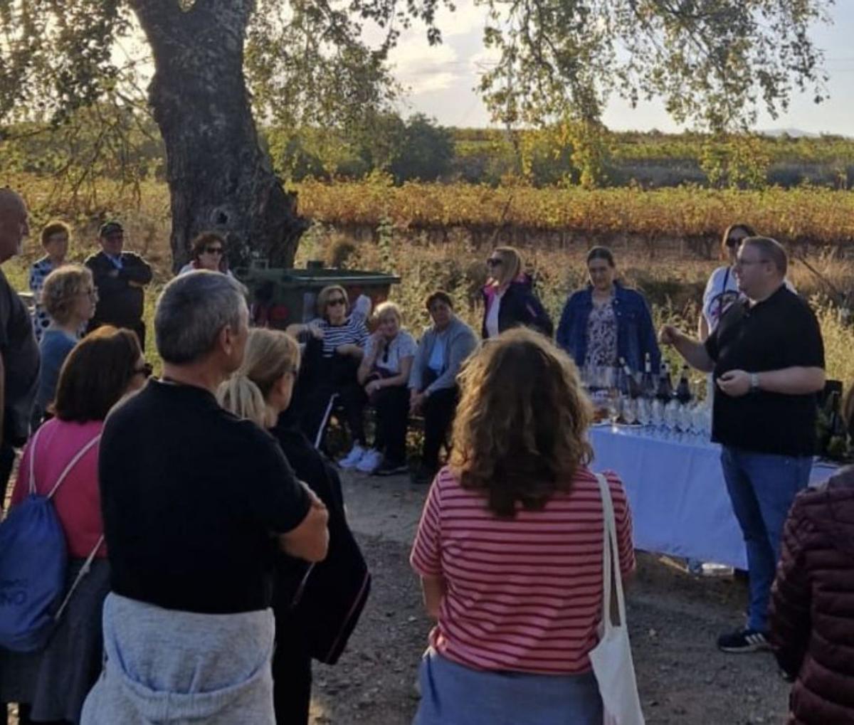 Paseo de la Ruta al Estanque de Cariñena.