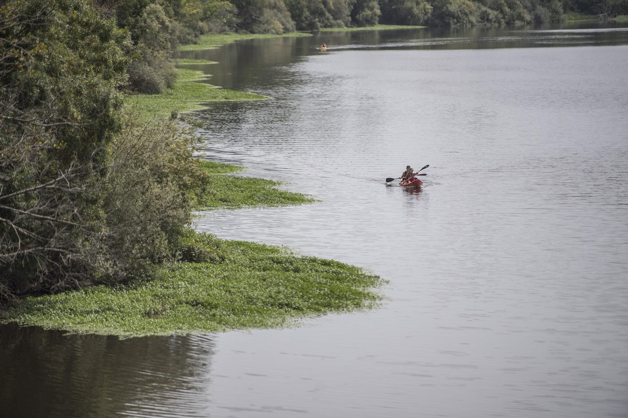 La XV edición del Descenso de Río Alagón, en imágenes