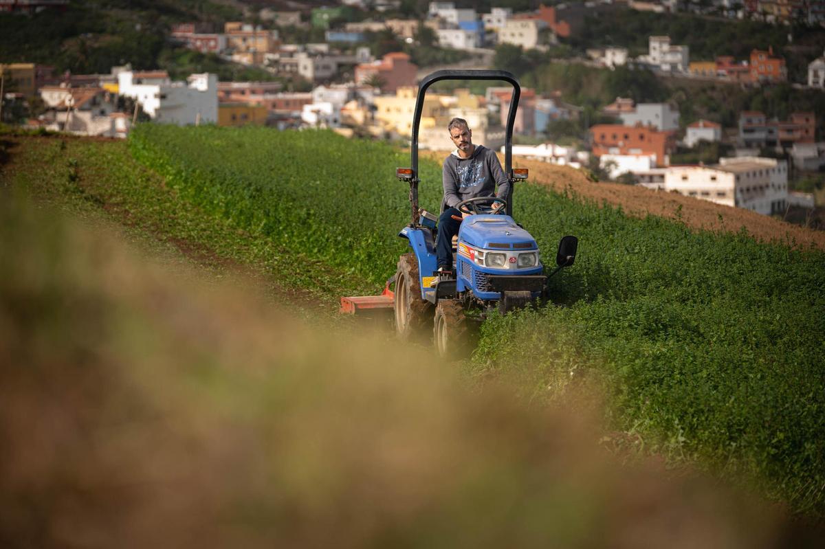 Manuel Reyes, presidente de la Cooperativa Las Medianías de San Juan de la Rambla
