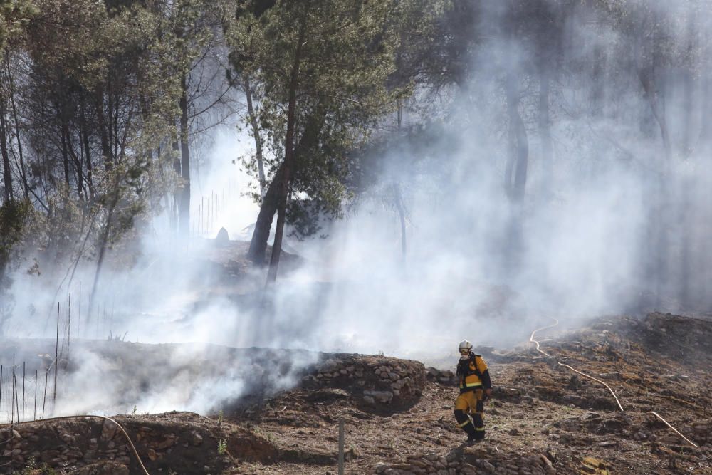 Incendio forestal en Sant Antoni