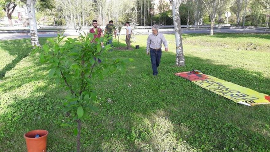 Colectivos ecologistas plantan un bosque contra la energía nuclear