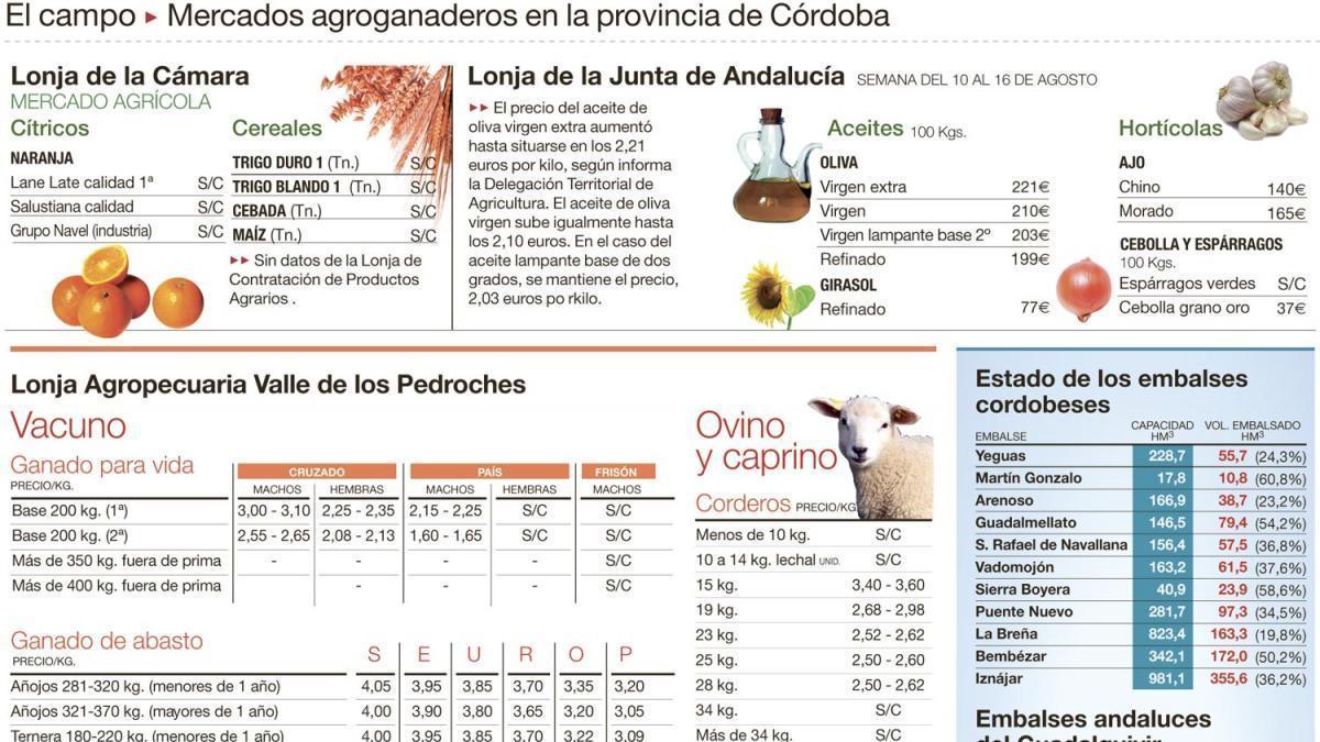 El riesgo de la Drosophila en los frutos rojos, baja