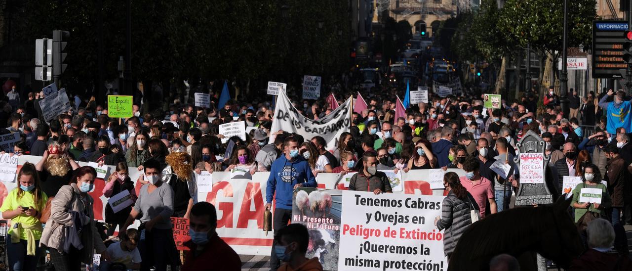 Ganaderos y policía se enfrentan en Oviedo