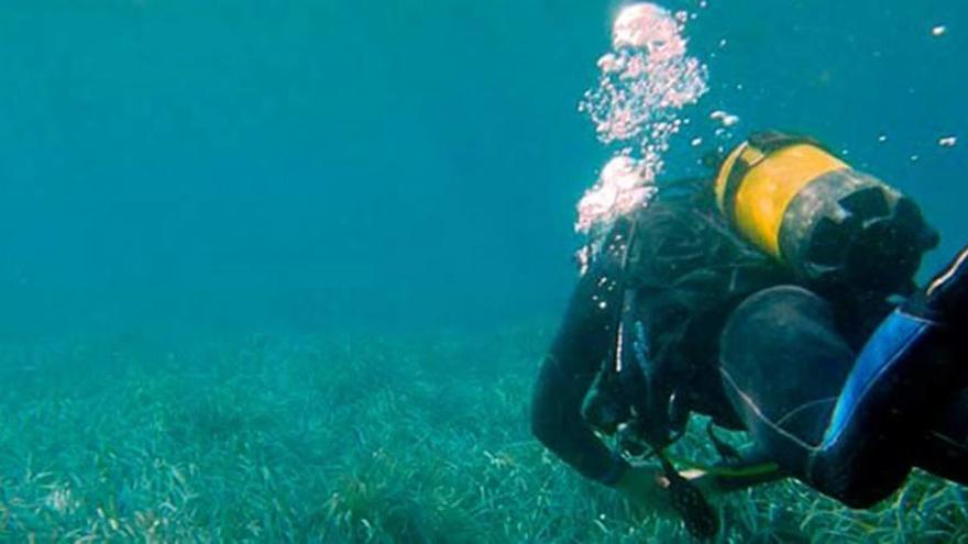 El buceo se consolida en la Región