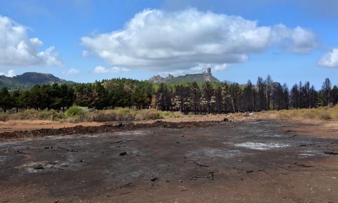 INCENDIO CUMBRE