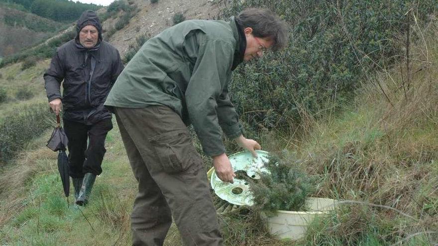 Plantación de un árbol dentro del proyecto &quot;Desiertos Verdes&quot; en la cantera de Abejera.