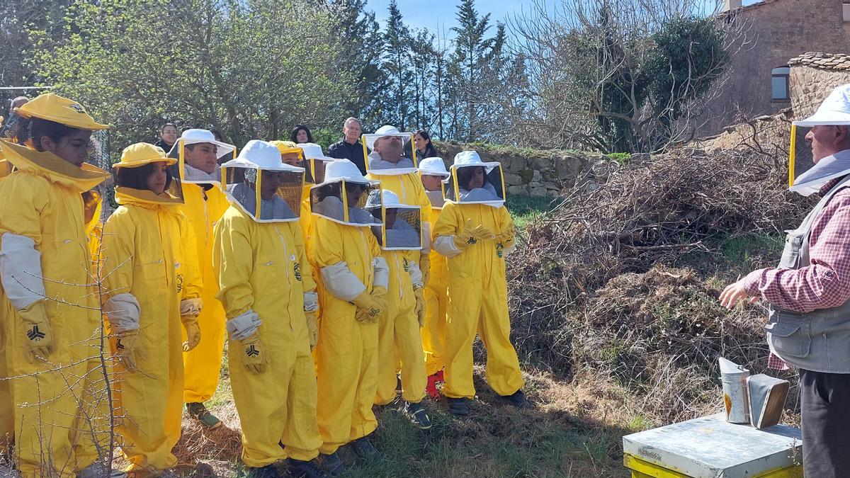 Els alumnes visitant un rusc d'abelles amb vestits de protecció
