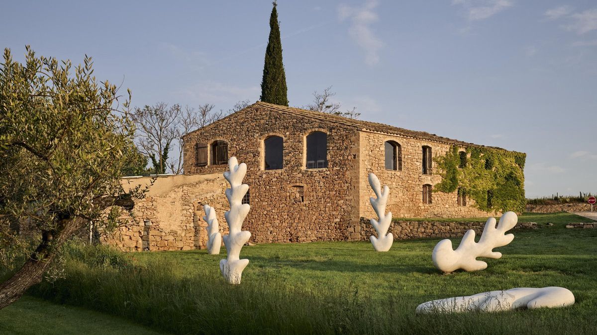 Ni piscina natural, ni pueblo bonito: El secreto mejor guardado de la Toscana española se esconde entre viñedos y pinares