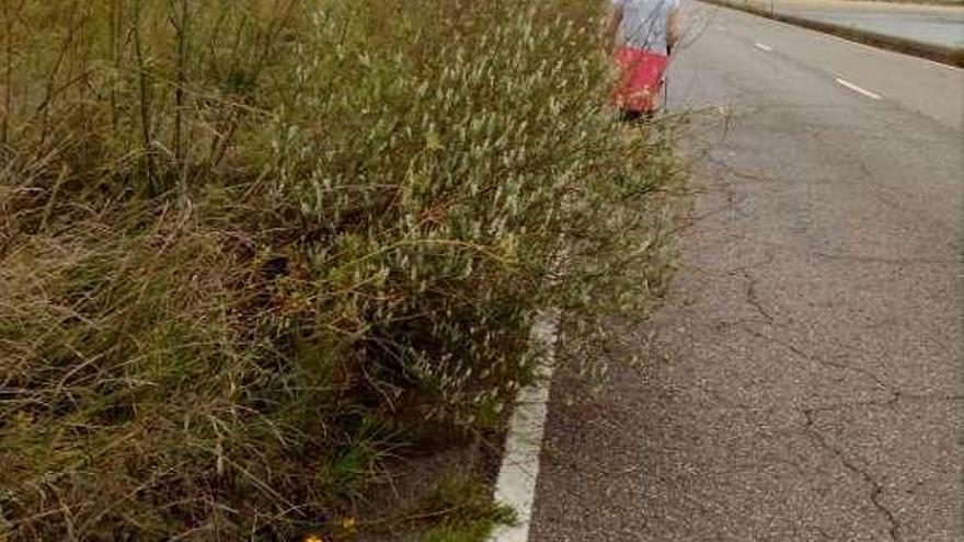 Una viandante, por la carretera, cerca de Zeluán.