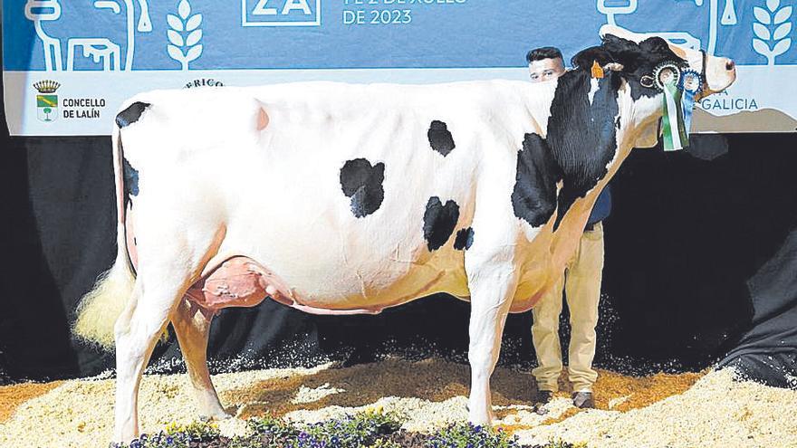 ‘Kergo Ozalid 6818’, de Xermade, vaca gran campiona de Feiradeza