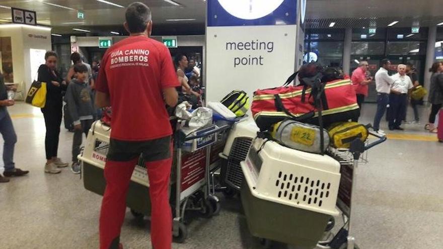 Los dos bomberos camino de Italia.