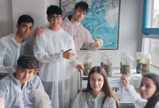 El Vicente Medina de Archena usa bacterias del río como fuente de energía