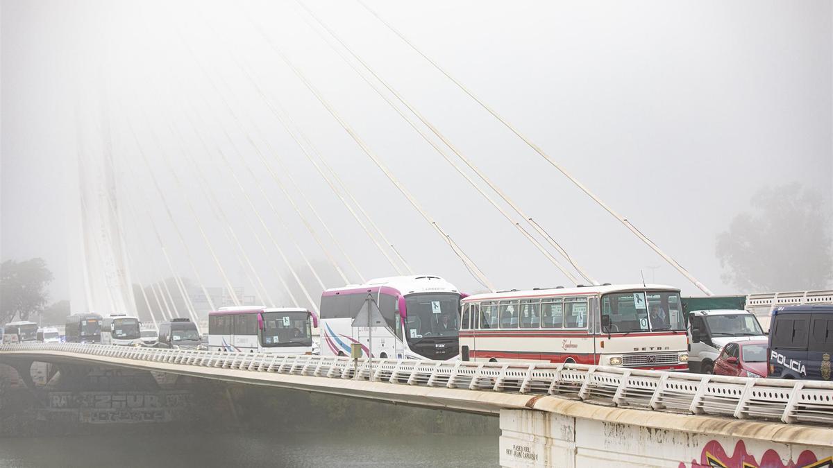 Varios autobuses en un puente.