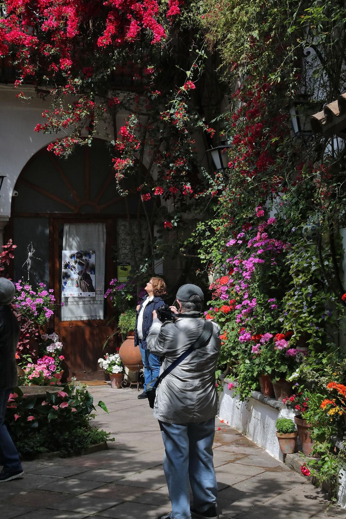 Paseando, patio a patio, por los jardines interiores de Santiago y San Pedro