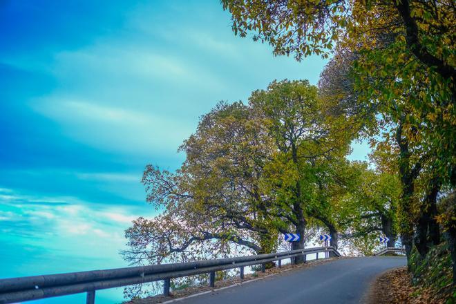 Otoño en la cumbre de Gran Canaria