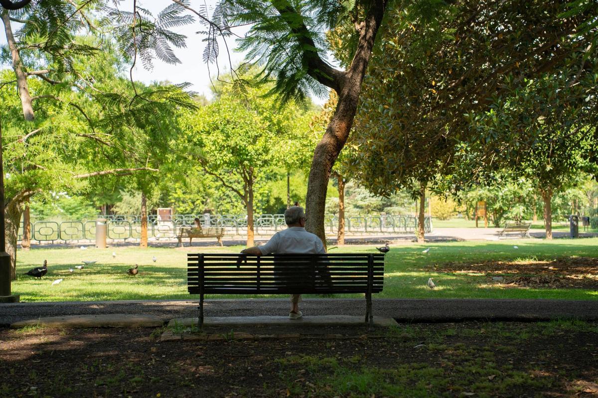 Parque de los Príncipes en Sevilla, con árboles, zonas verdes y sombras naturales en un entorno urbano tranquilo