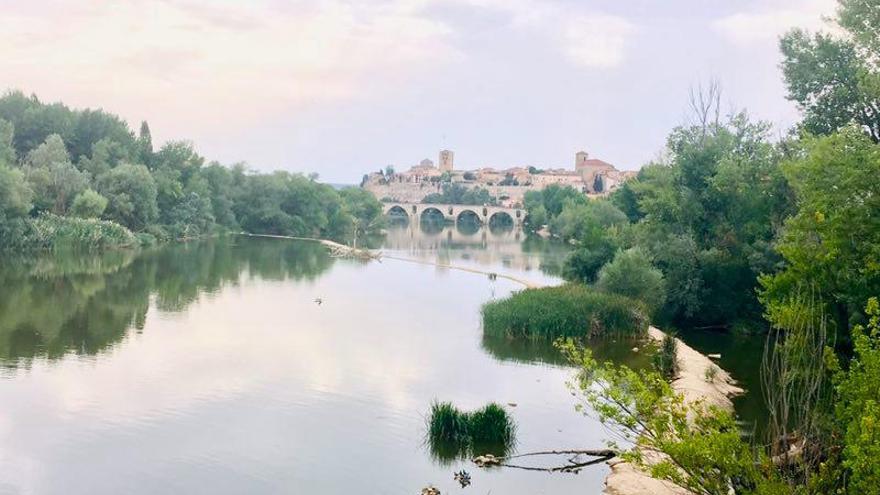 Panorámica del río Duero a su paso por Zamora.