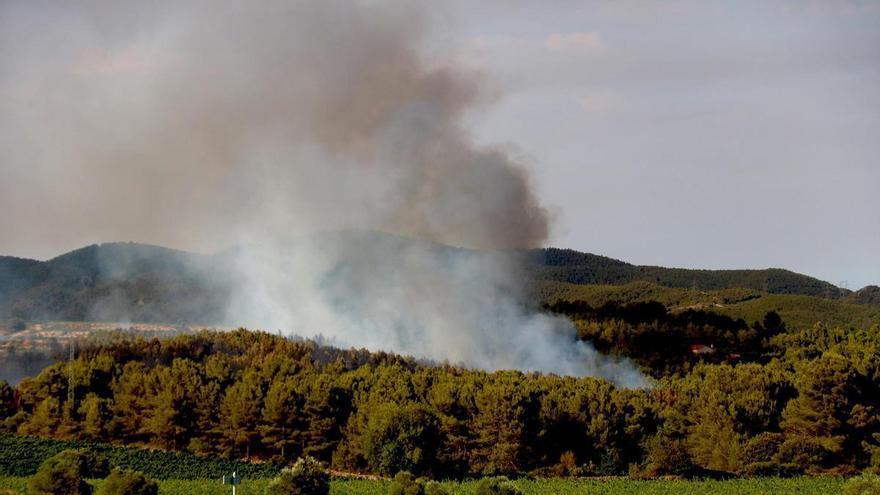 El incendio de "alta intensidad" en Aiguamúrcia (Tarragona) obliga a confinar a 1.600 personas