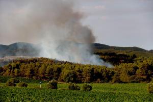 El incendio de alta intensidad en Aiguamúrcia (Tarragona) obliga a confinar a 1.600 personas