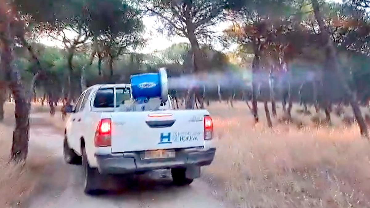 Un vehículo de la Diputación de Huelva fumigando en unos pinares.