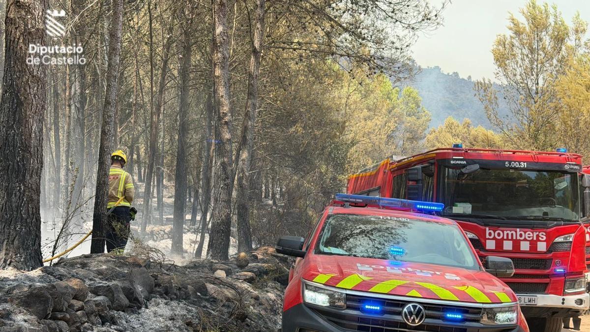 Los bomberos trabajan en los rebrotes del fuego en Artana y en Alcudia de Veo