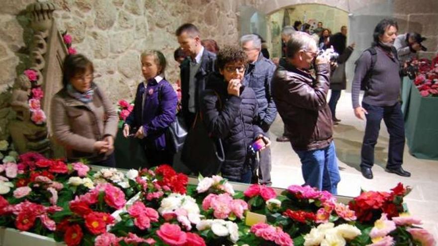 Unas personas observan un expositor de camelias a concurso en el castillo de Soutomaior.  // Faro