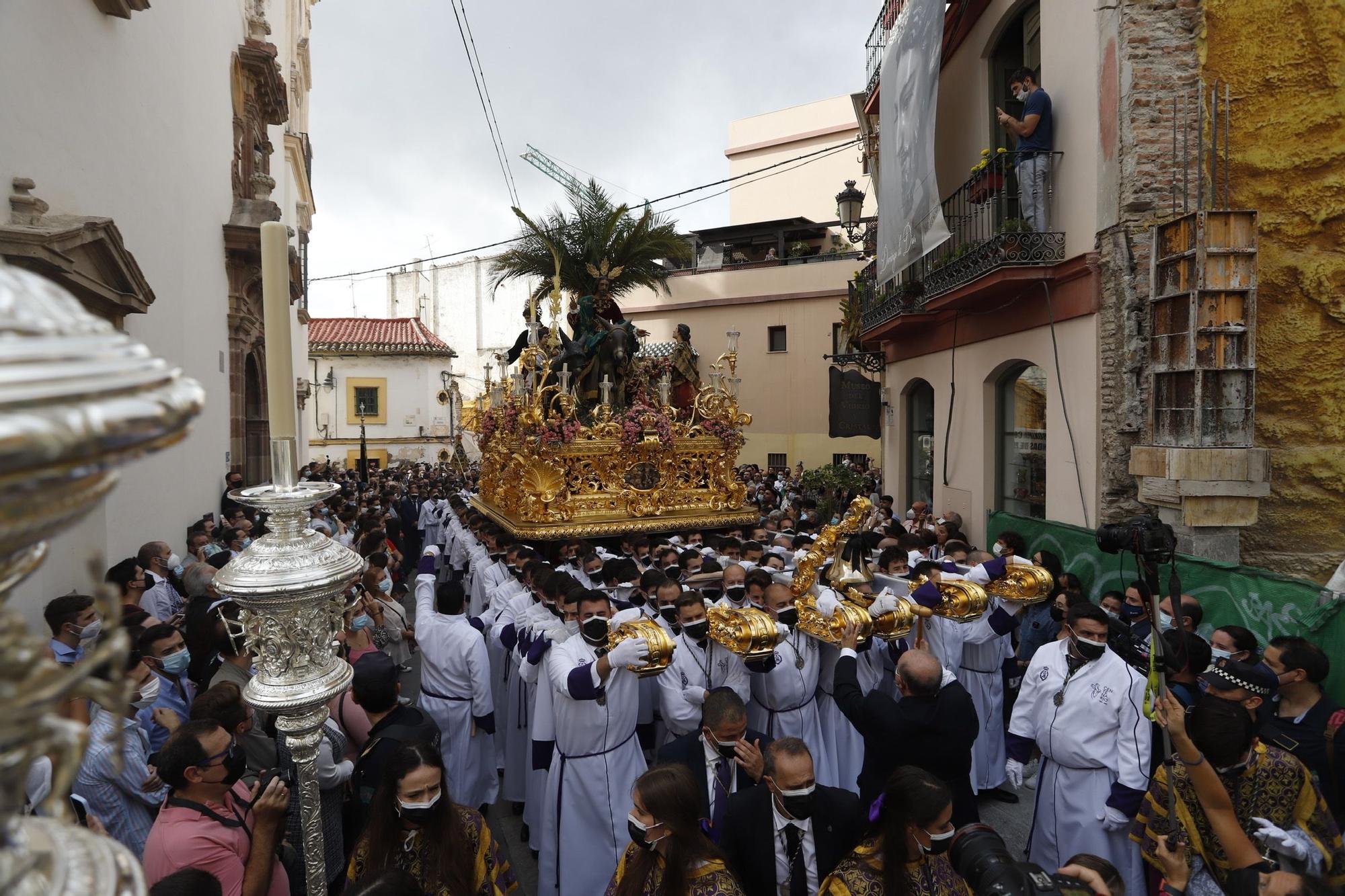 Procesión Magna de Málaga | Pollinica